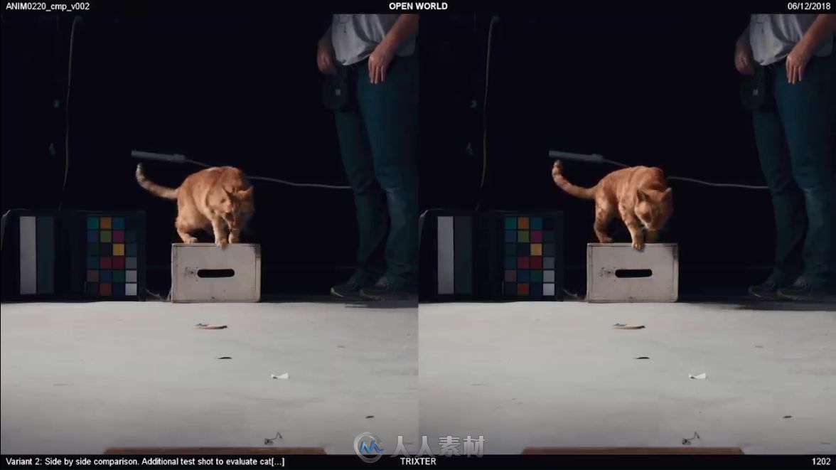 影片《惊奇队长》幕后制作解析视频 三分之二的橘猫镜头都是CG效果