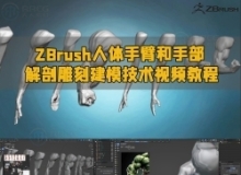ZBrush人体手臂和手部解剖雕刻建模技术视频教程