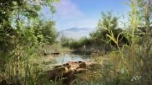 河流水域植物生物群落环境场景UE游戏素材
