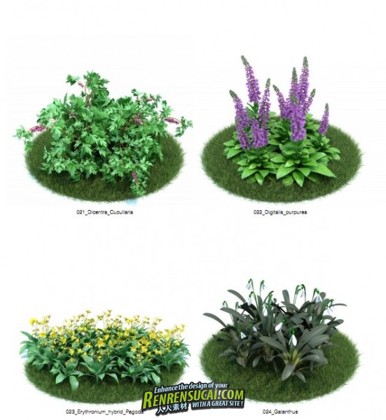 《园林植物灌木花卉 3D模型与纹理贴图合辑》Evermotion Archmodels Vol.86