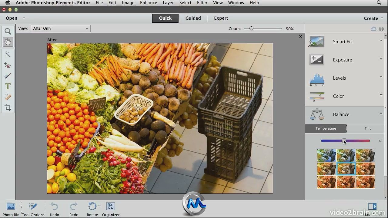 《Photoshop Elements 11综合训练视频教程》video2brain Adobe Photoshop Elements...