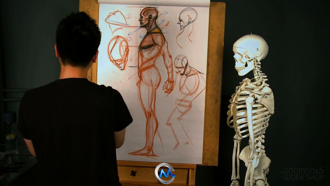 《人体结构与比率手绘视频教程》The Gnomon Workshop Anatomy Workshop Volume One