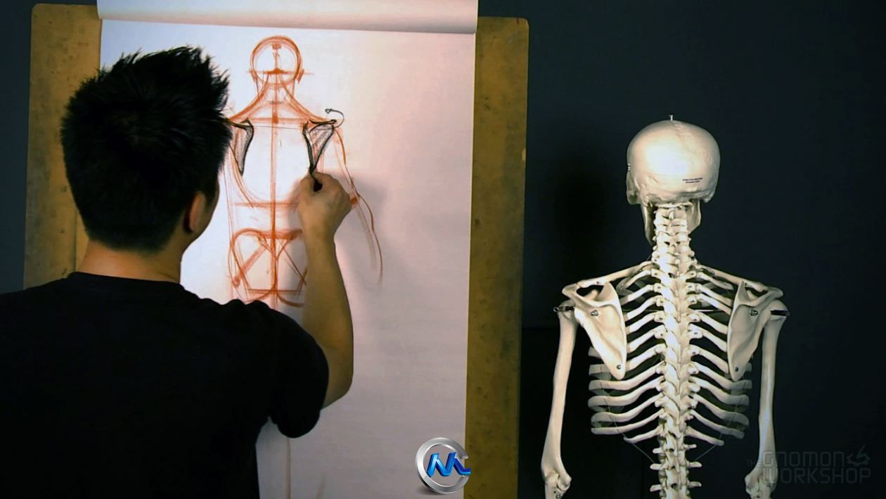 《人体结构与比率手绘视频教程》The Gnomon Workshop Anatomy Workshop Volume One