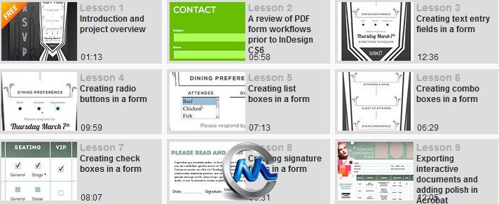 《InDesign中PDF形式设计视频教程》Digital-Tutors Creating Dynamic PDF Forms wi...