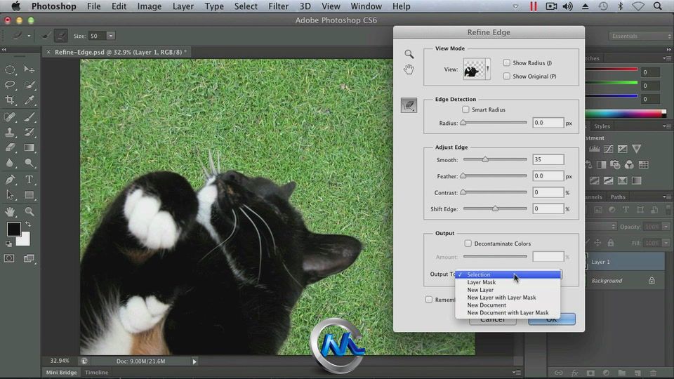 Photoshop CS6要点训练视频教程 Total Training Adobe Photoshop CS6 Extended Ess...