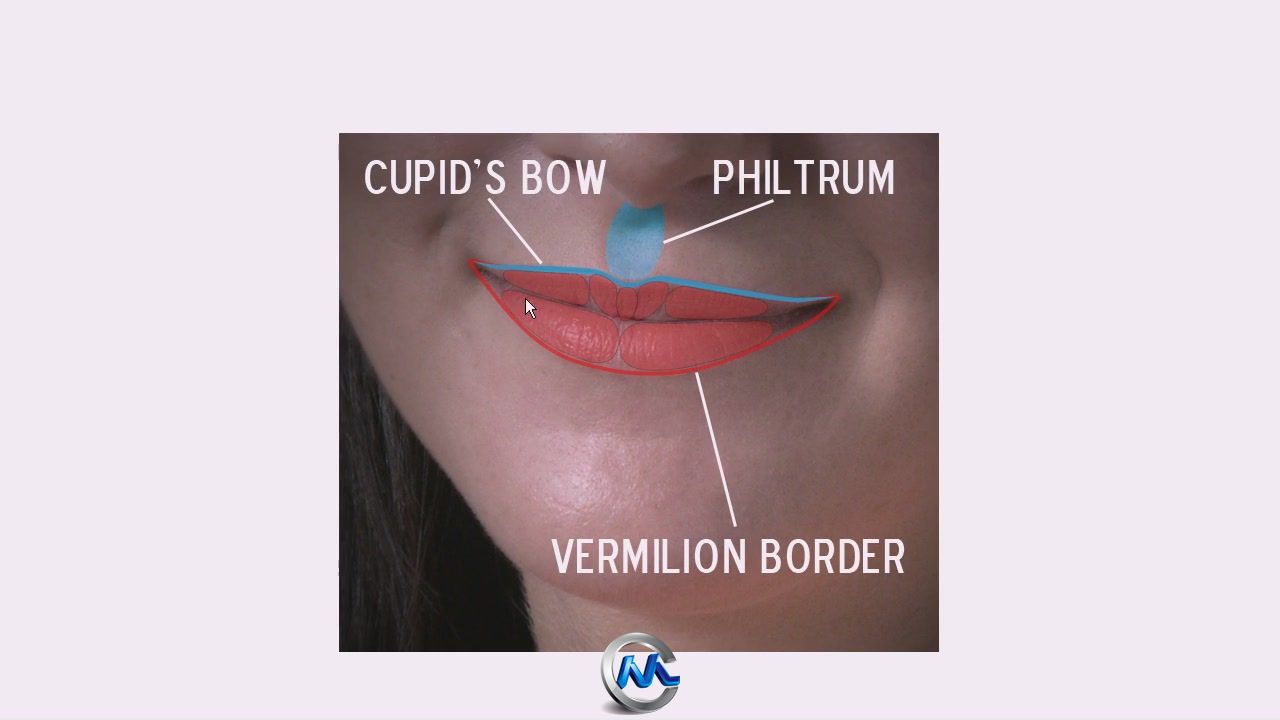Mudbox2014人物嘴巴雕刻视频教程 Digital-Tutors Sculpting Human Mouths in Mudbo...