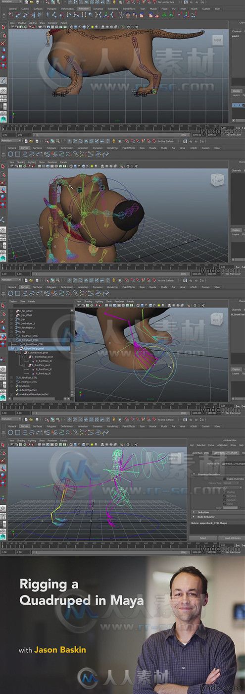 Maya动物骨骼制作训练视频教程 Lynda Rigging a Quadruped in Maya