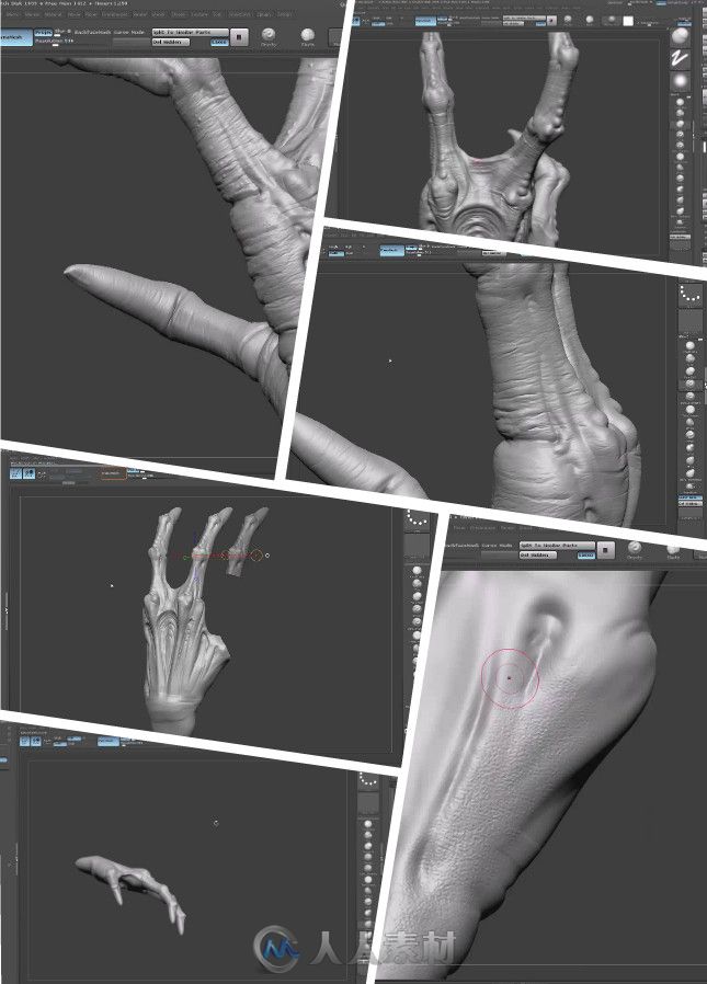 Zbrush怪兽手臂精细化雕刻艺术训练视频教程 Gumroad How To Sculpt Creature Hands...