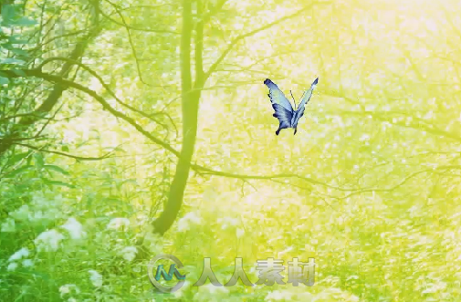 蝴蝶入森林LED背景视频素材