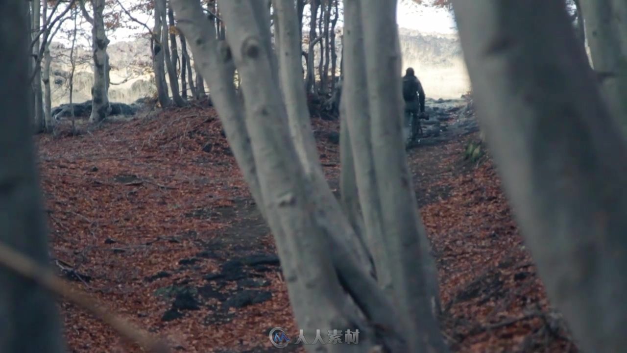 摄影师和狗徒步旅行森林实拍视频素材