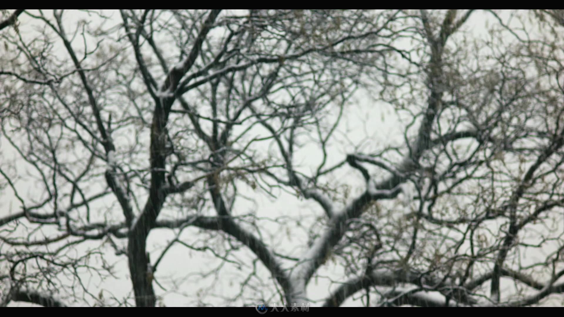 下雪天飘漂飘洒洒树枝屋顶积雪视频素材