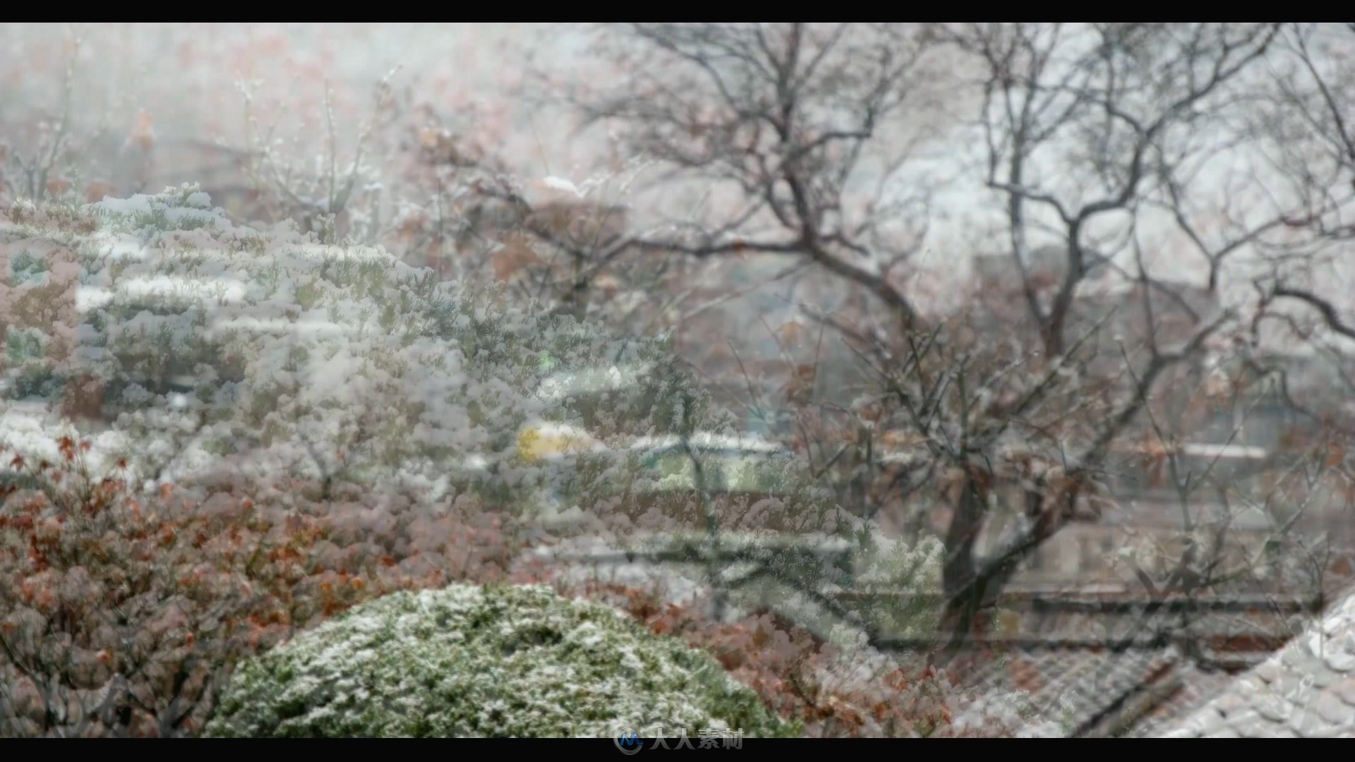 下雪天飘漂飘洒洒树枝屋顶积雪视频素材