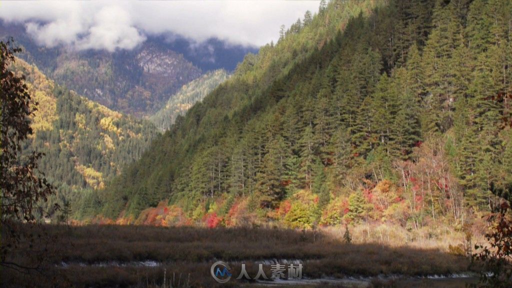 山林雾景(快速)高清实拍视频素材