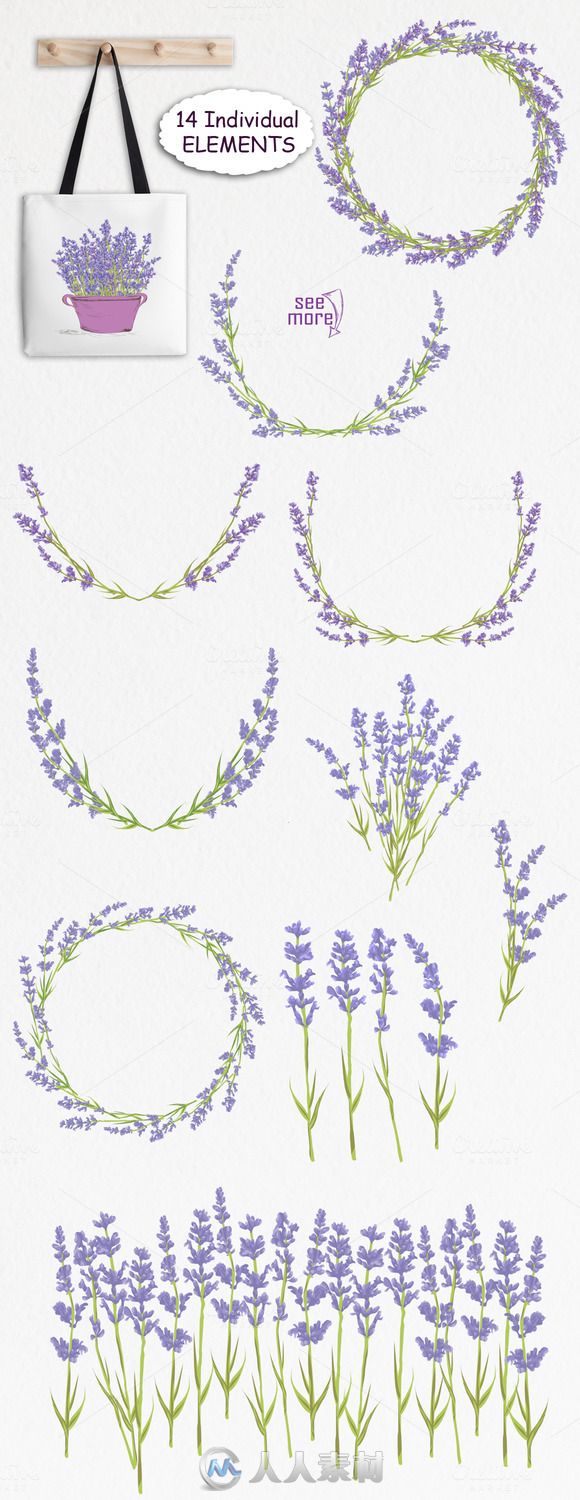 春季薰衣草花平面素材合集Lavender. Spring Flowers collection