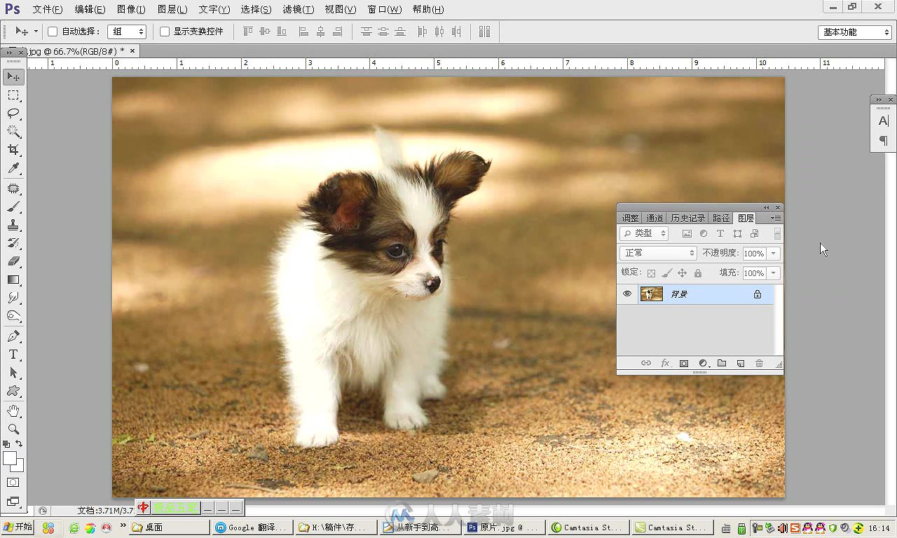 中文版Photoshop CS6平面设计从新手到高手