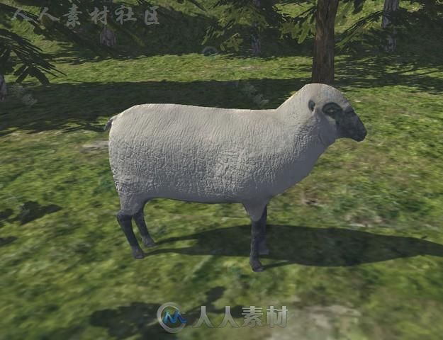 动物包角色模型Unity3D素材资源