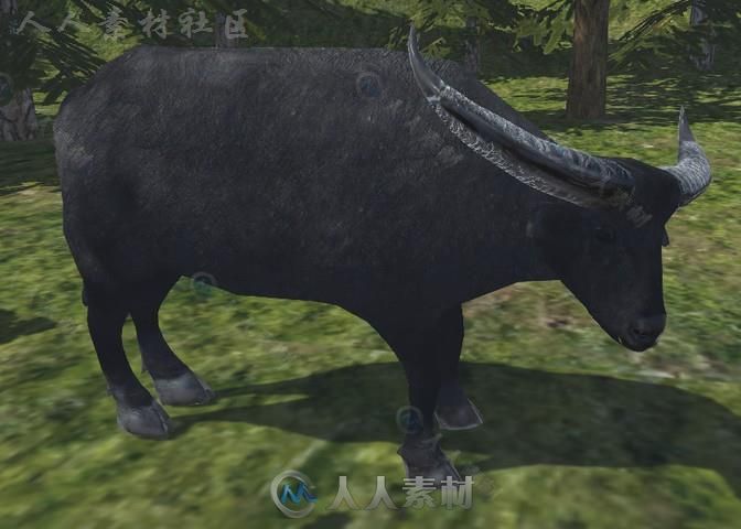 动物包角色模型Unity3D素材资源