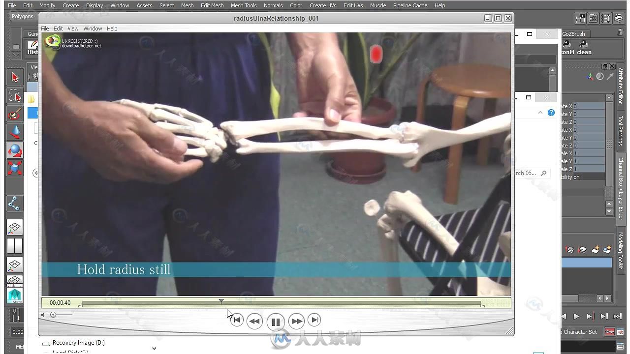 Maya肌肉与骨骼大师级训练视频教程 CGCIRCUIT SKINING WITH NCLOTH PART I