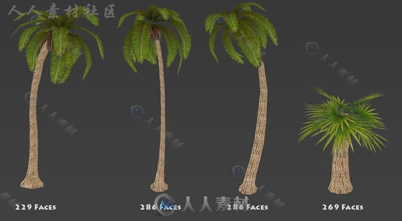 4种不同的低聚棕榈树植物3D模型Unity游戏素材资源