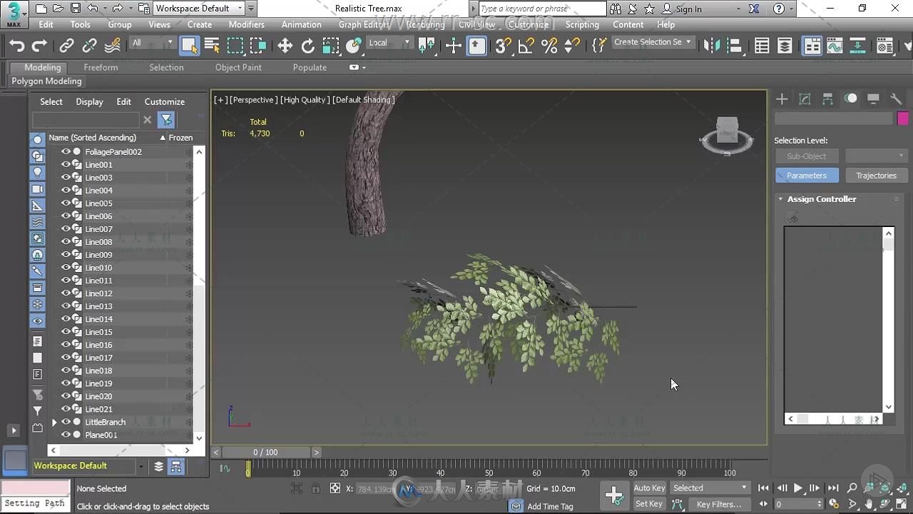 3ds Max中植物低面数建模视频教程