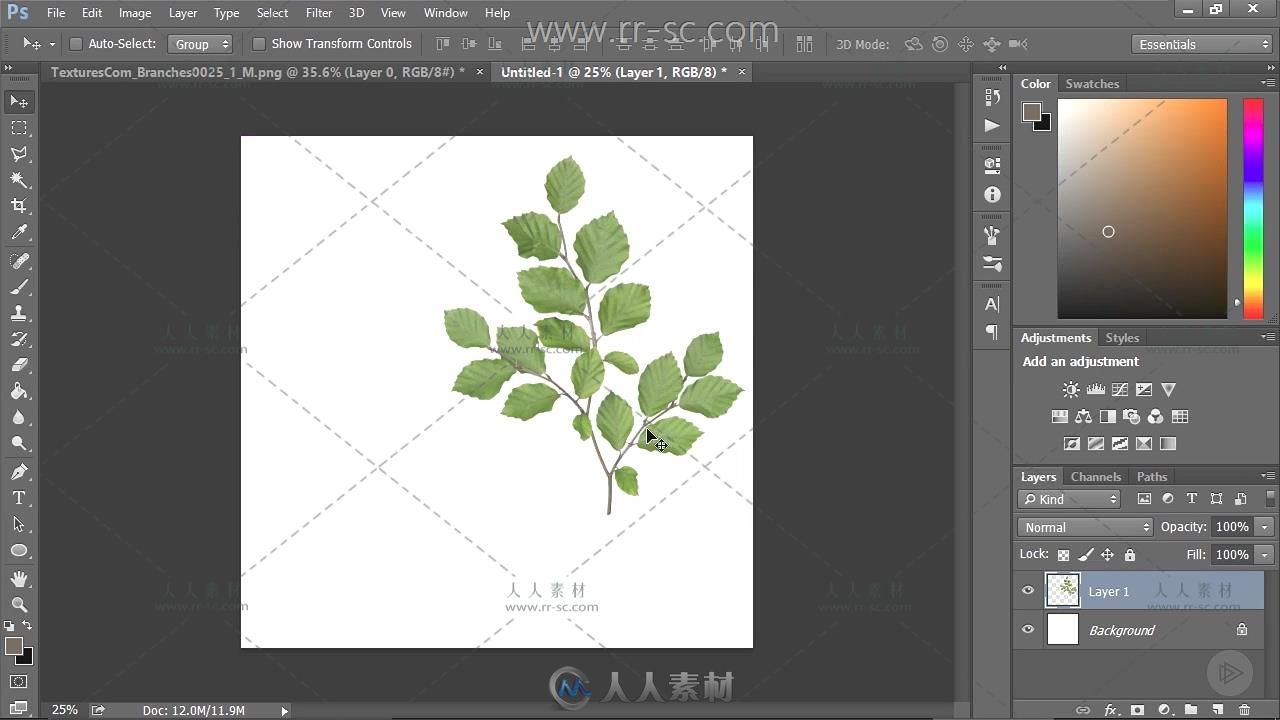 3ds Max中植物低面数建模视频教程