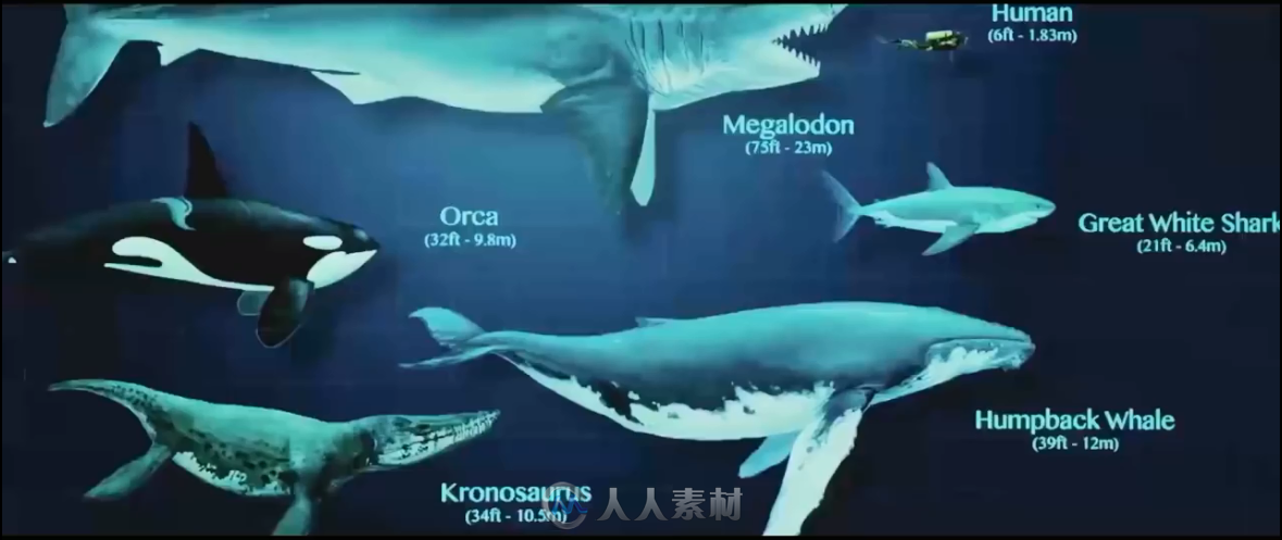 影片《巨齿鲨 (2018)》视觉特效解析视频 两家视觉特效工作室作品分享