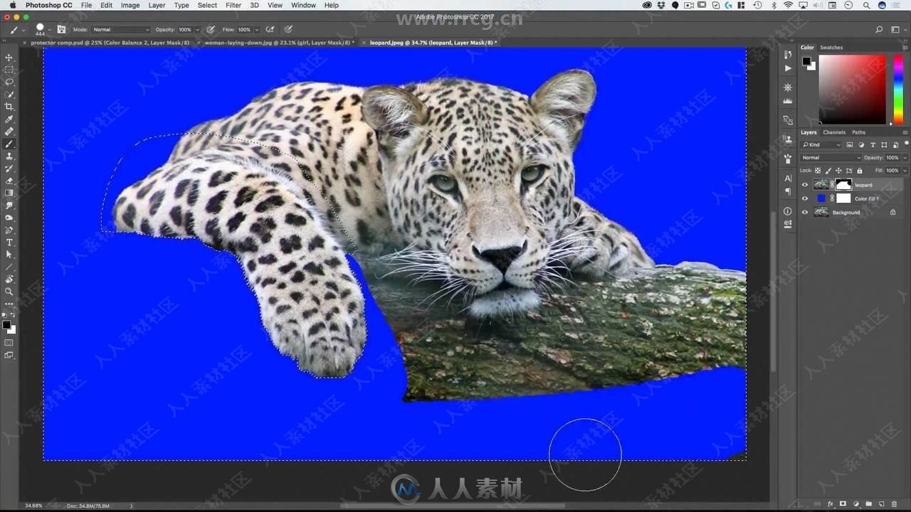 PS美人豹照片特效合成实例训练视频教程