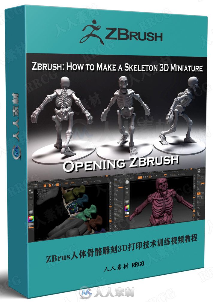 ZBrus人体骨骼雕刻3D打印技术训练视频教程