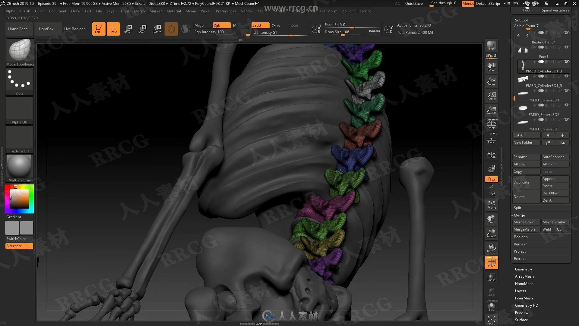 ZBrus人体骨骼雕刻3D打印技术训练视频教程