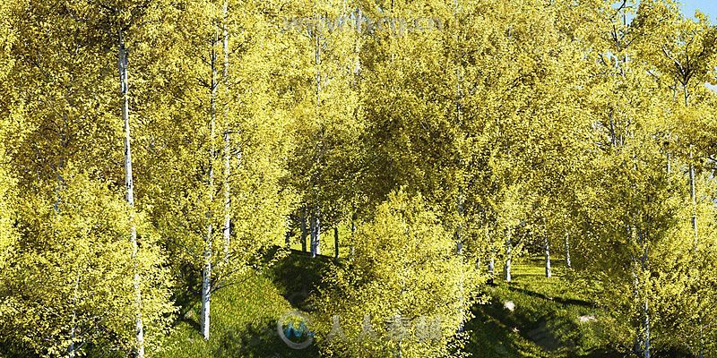 Botaniq树木植物园林绿化3D模型库Blender插件V6.0版
