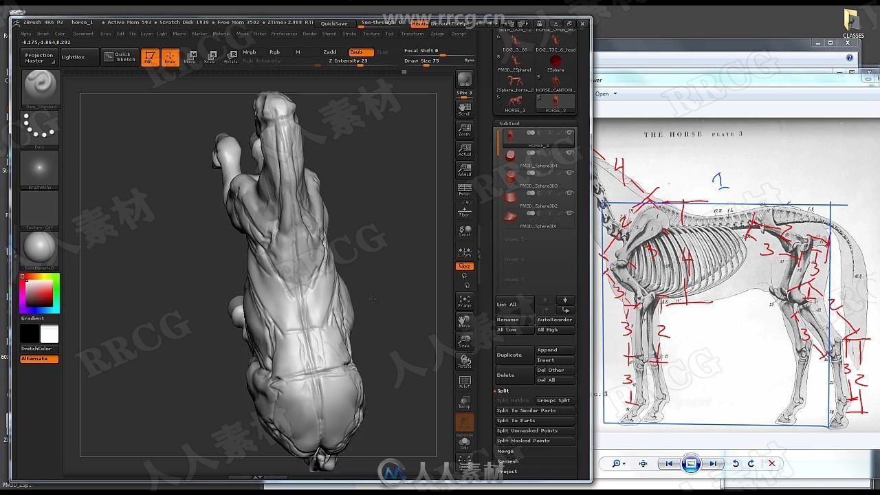 Zbrush动物雕刻结构剖析核心训练视频教程
