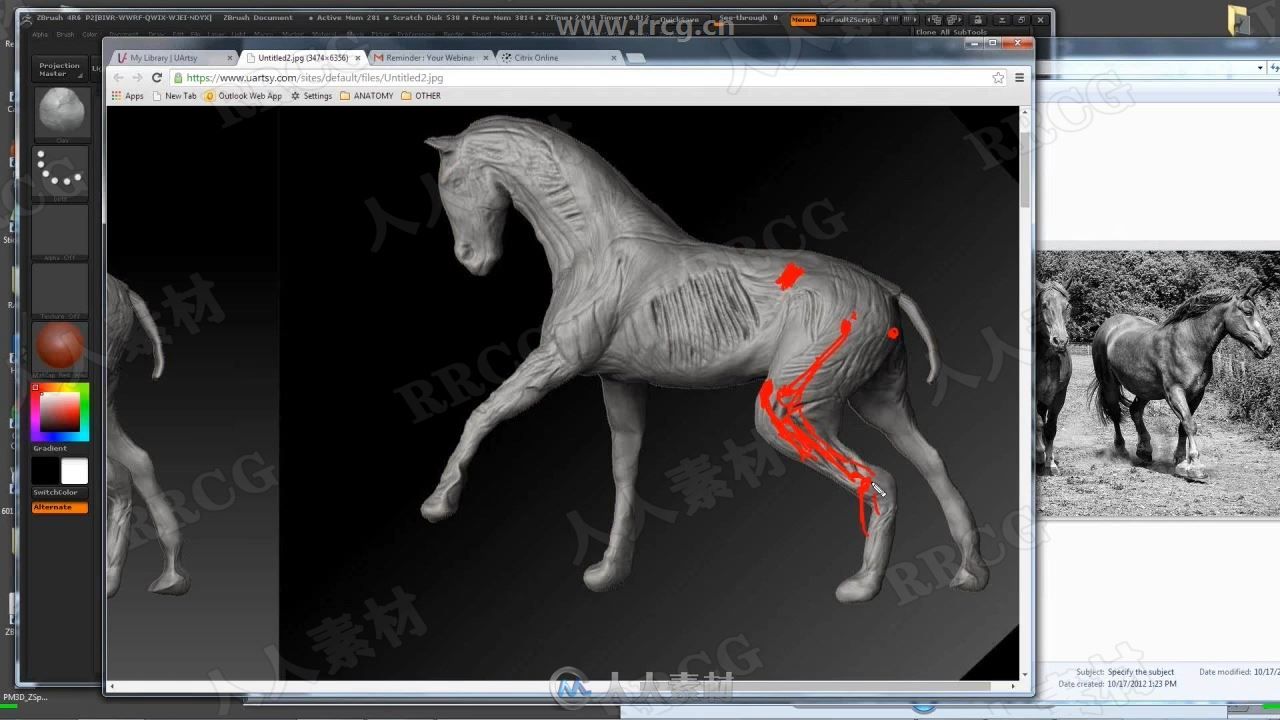 Zbrush动物雕刻结构剖析核心训练视频教程