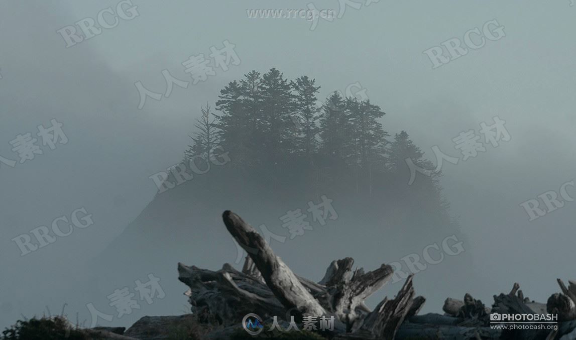 339组迷雾阴霾荒凉枯木深林高清参考图片合集