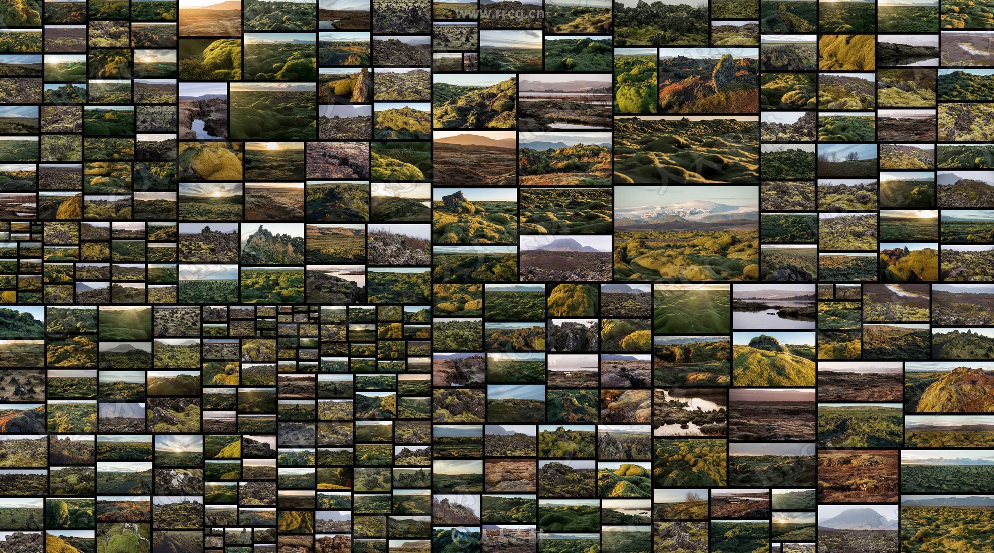 545组绿色草原荒野苔藓自然环境高清参考图片合集