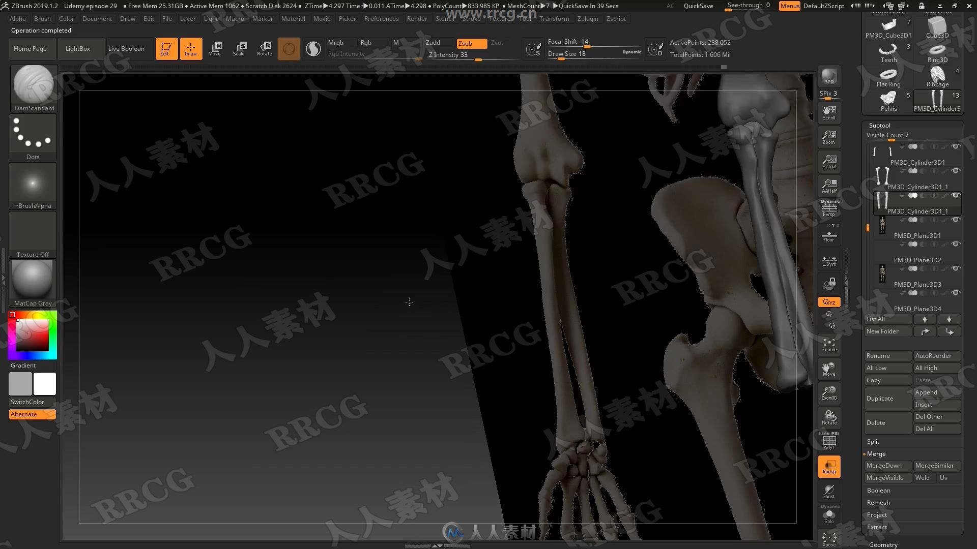ZBrush人体骨骼数字雕刻3D打印技术视频教程