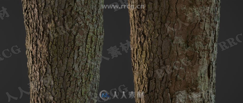 36组4K高精度树木树皮PBR纹理贴图合集第一季