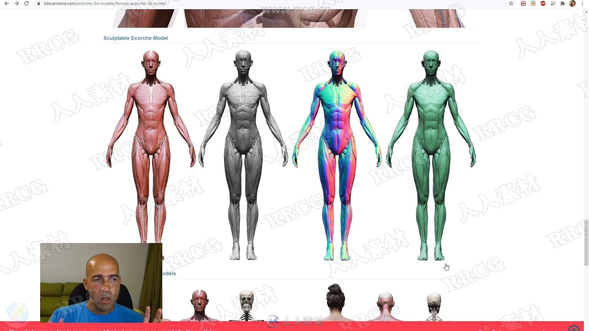 ZBrush完整女性人体解剖数字雕刻大师级视频教程