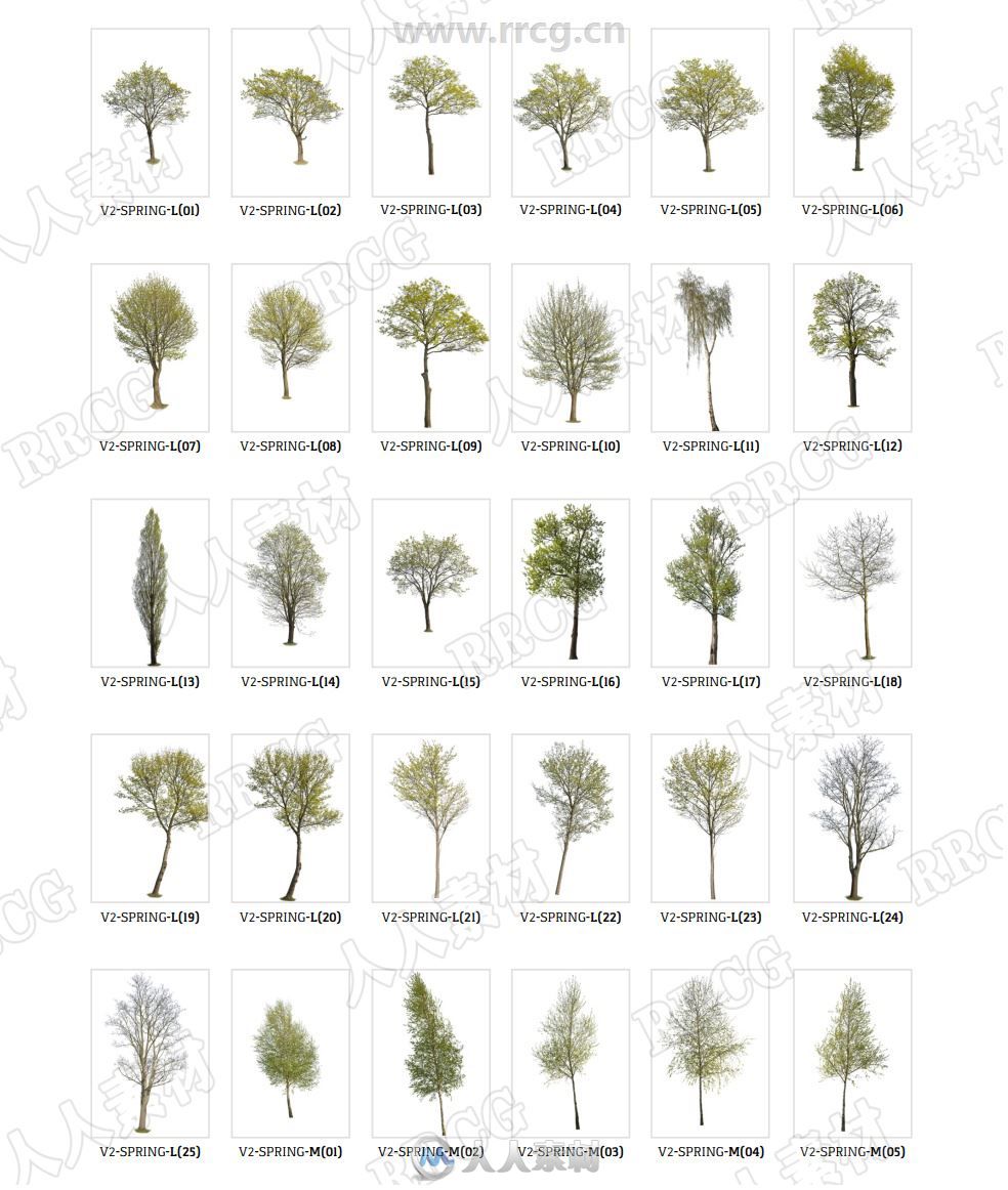 151组春季初夏树木植物高清参考图片合集