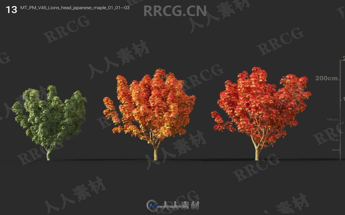 72组高精度灌木树木植物3D模型合集