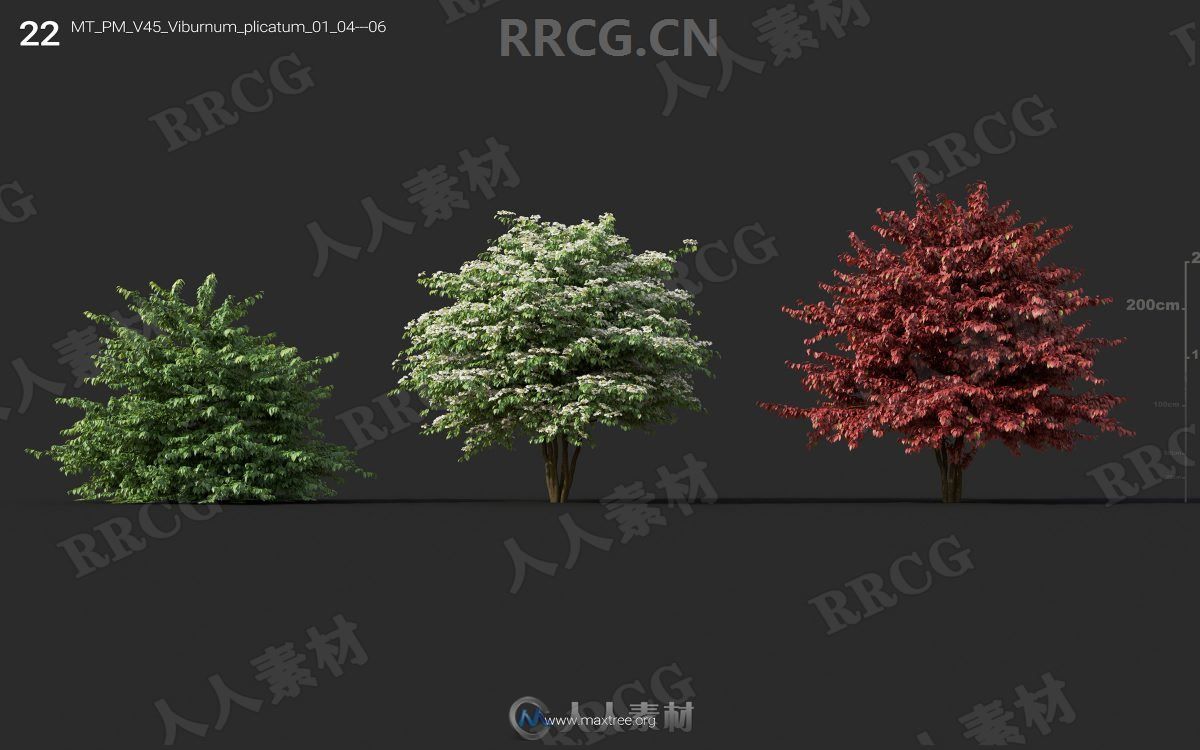 72组高精度灌木树木植物3D模型合集