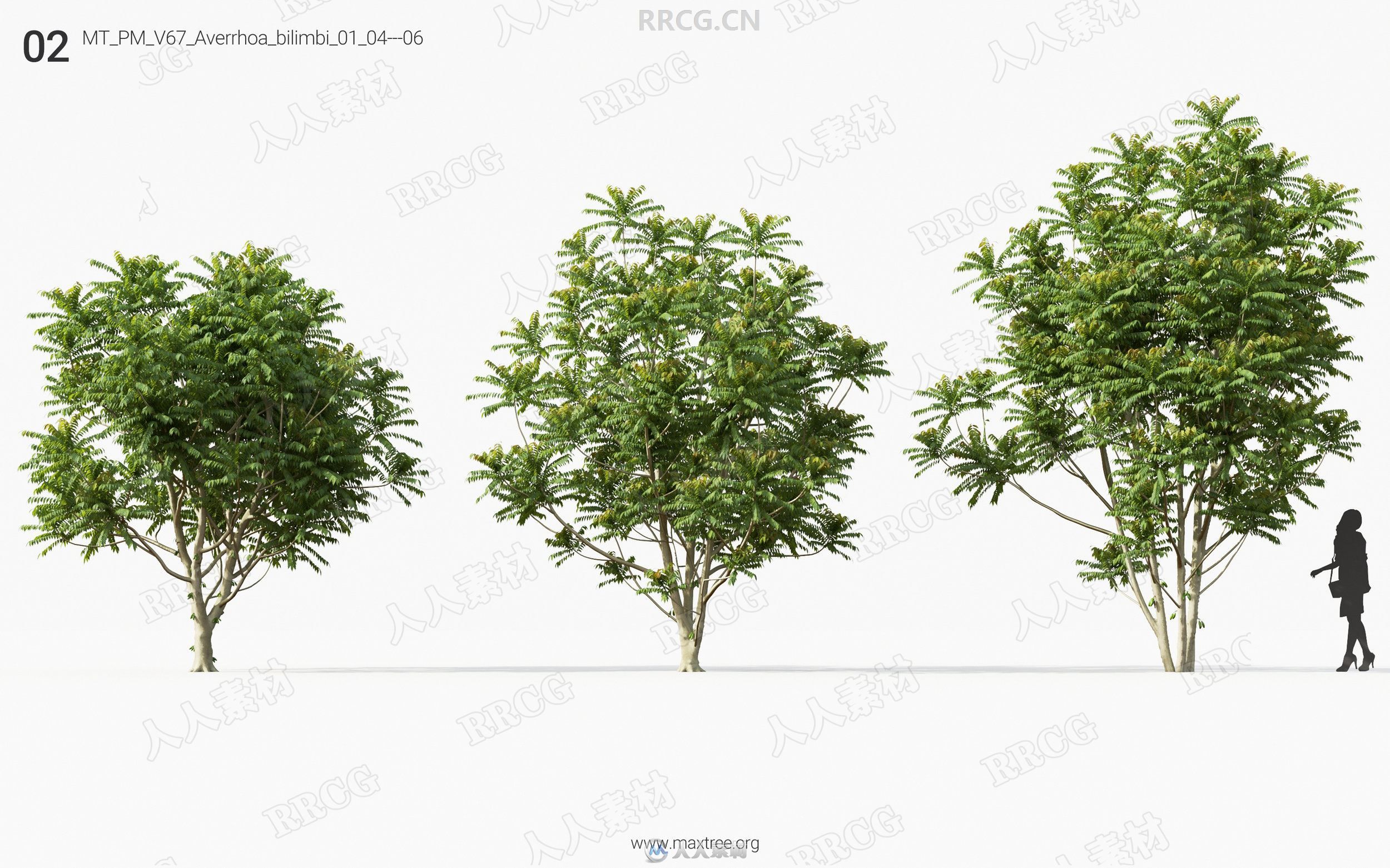 72组高精度茂密绿色树木植物3D模型合集
