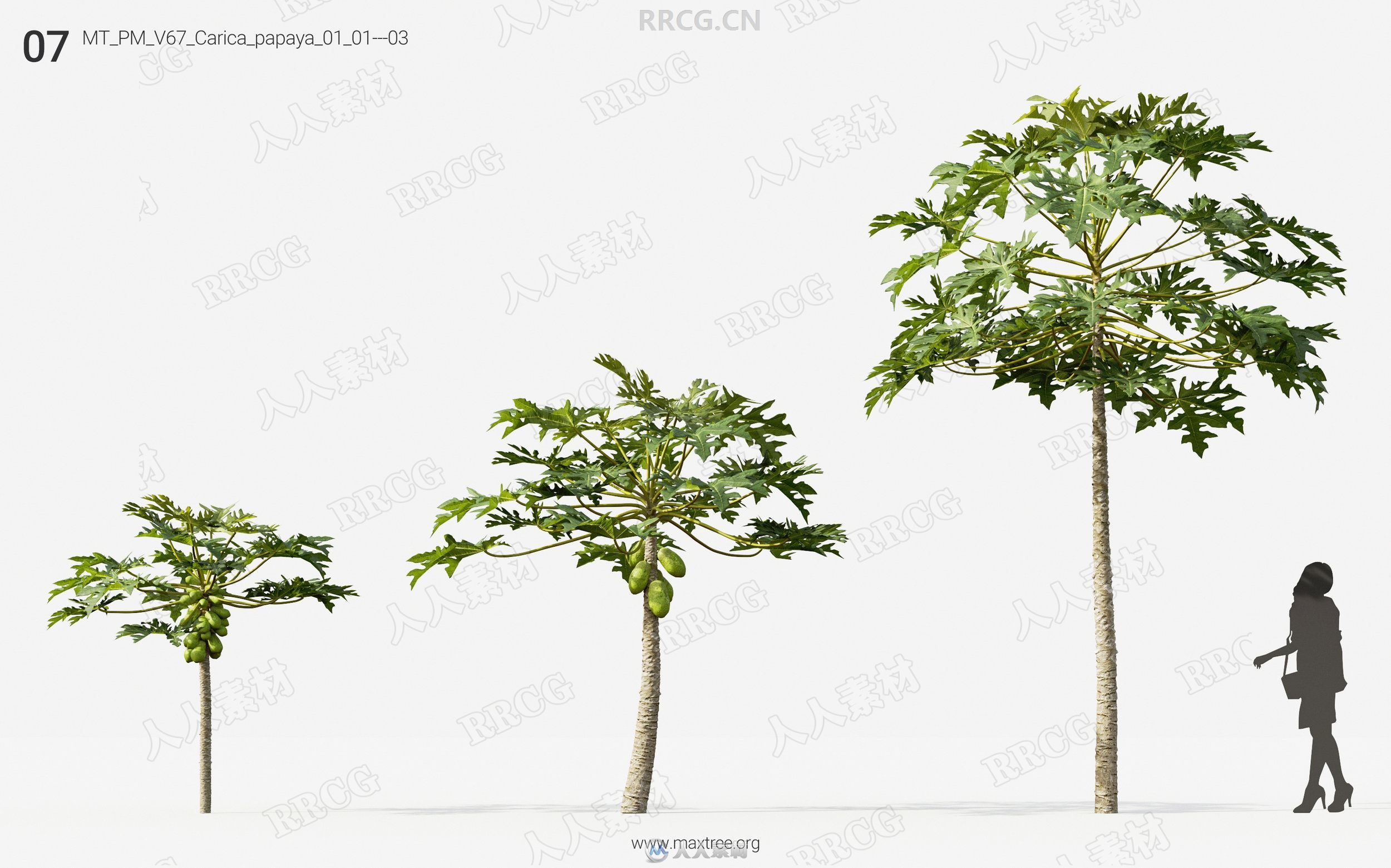 72组高精度茂密绿色树木植物3D模型合集