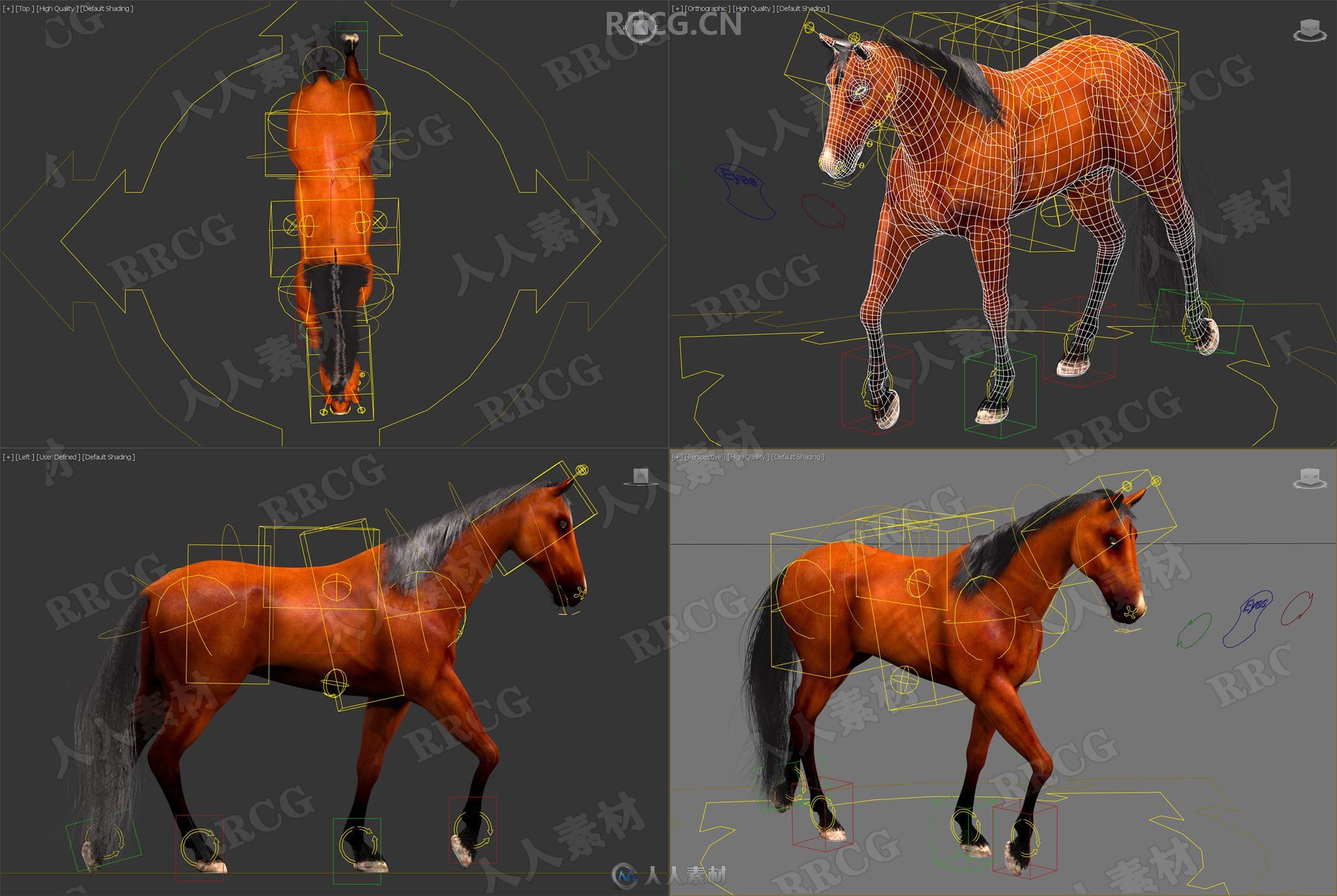 超逼真马匹骏马造型动画高精度3D模型