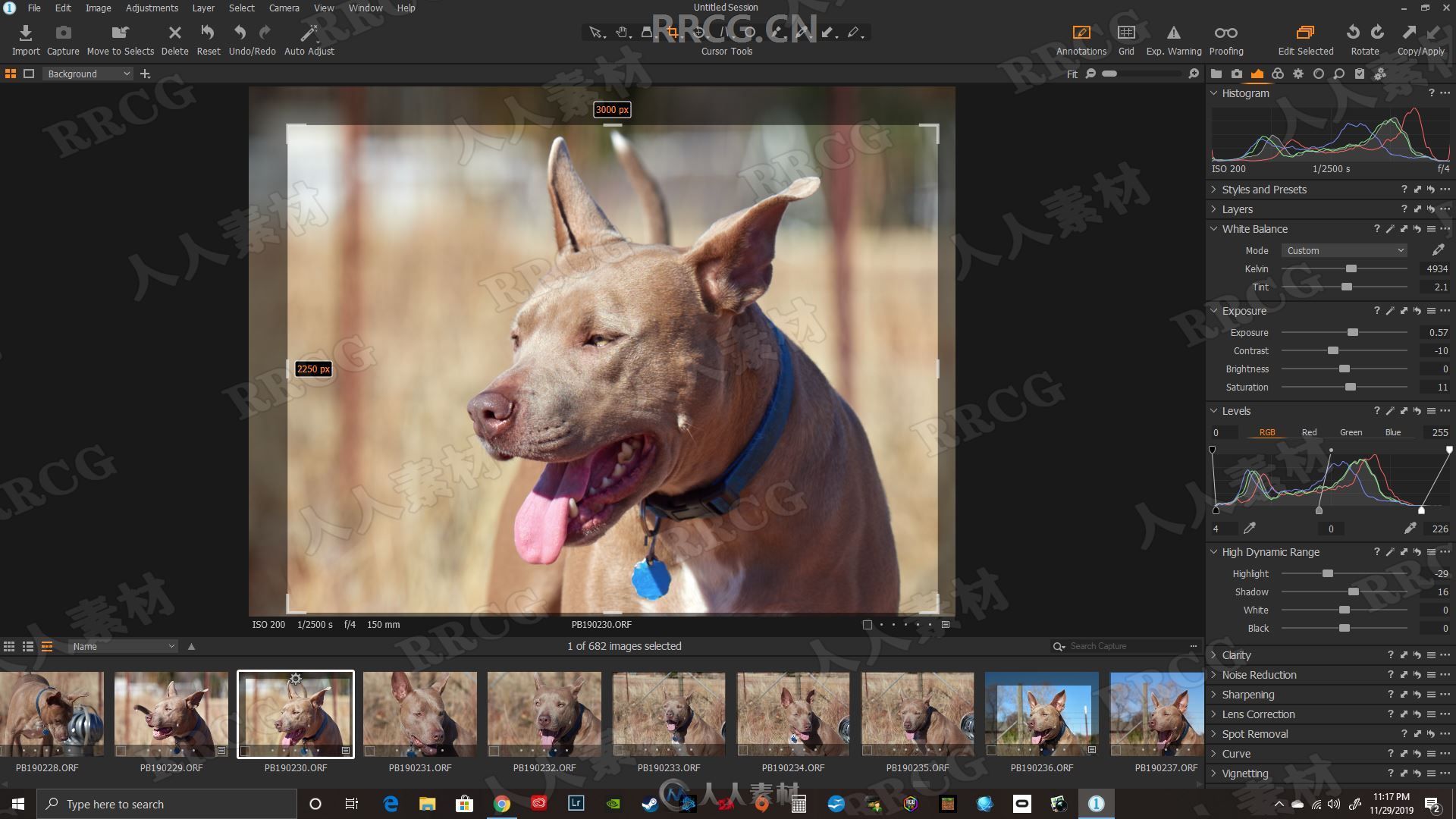 Capture One 20 Pro图像处理软件V13.1.4.3版