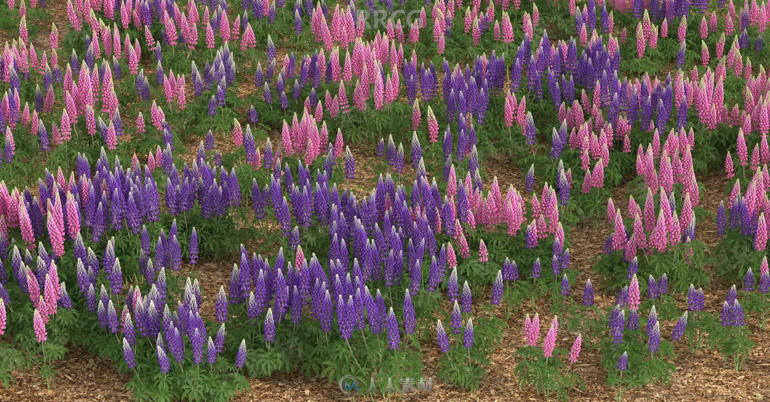 150组高精度艳丽鲜花植物3D模型合集