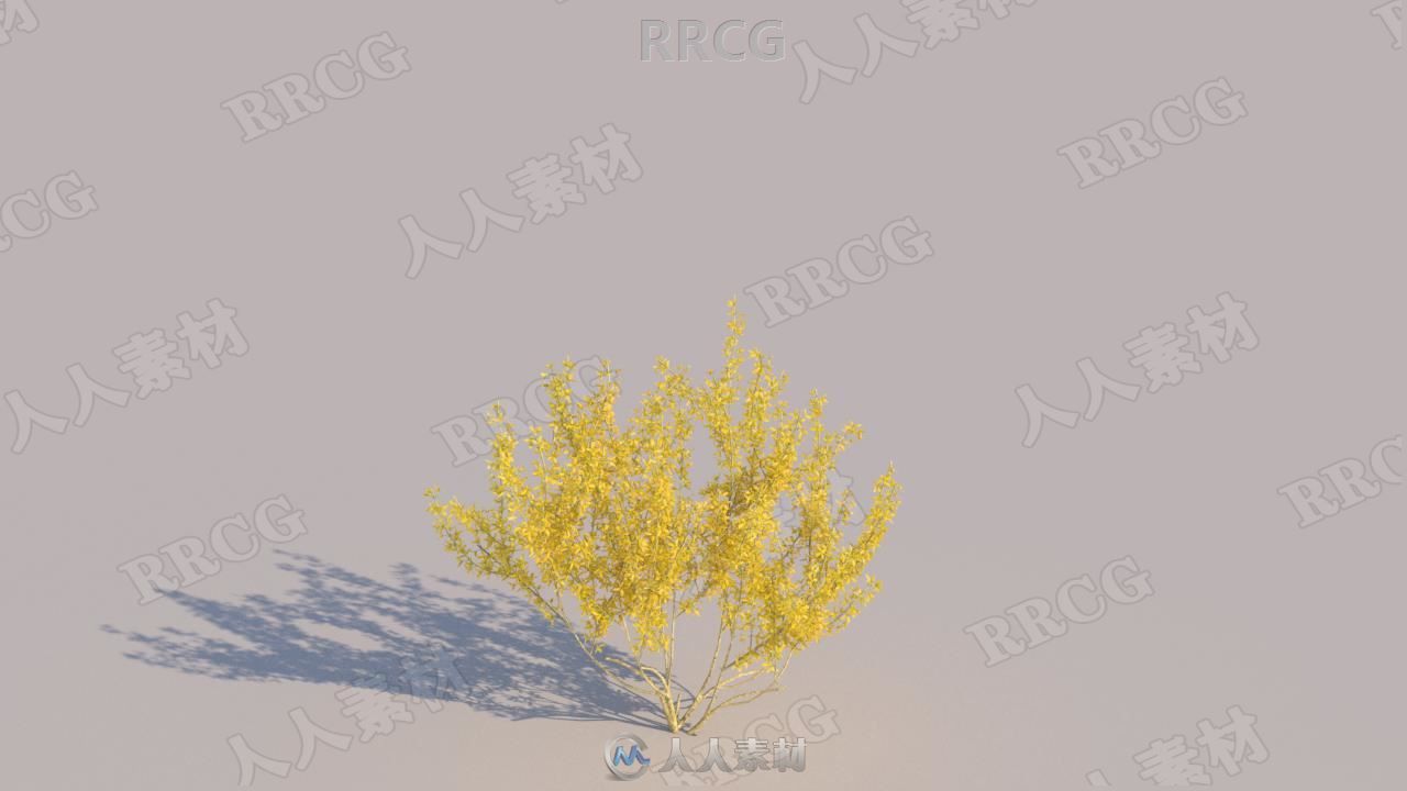 10组高精度春夏季灌木植物3D模型合集
