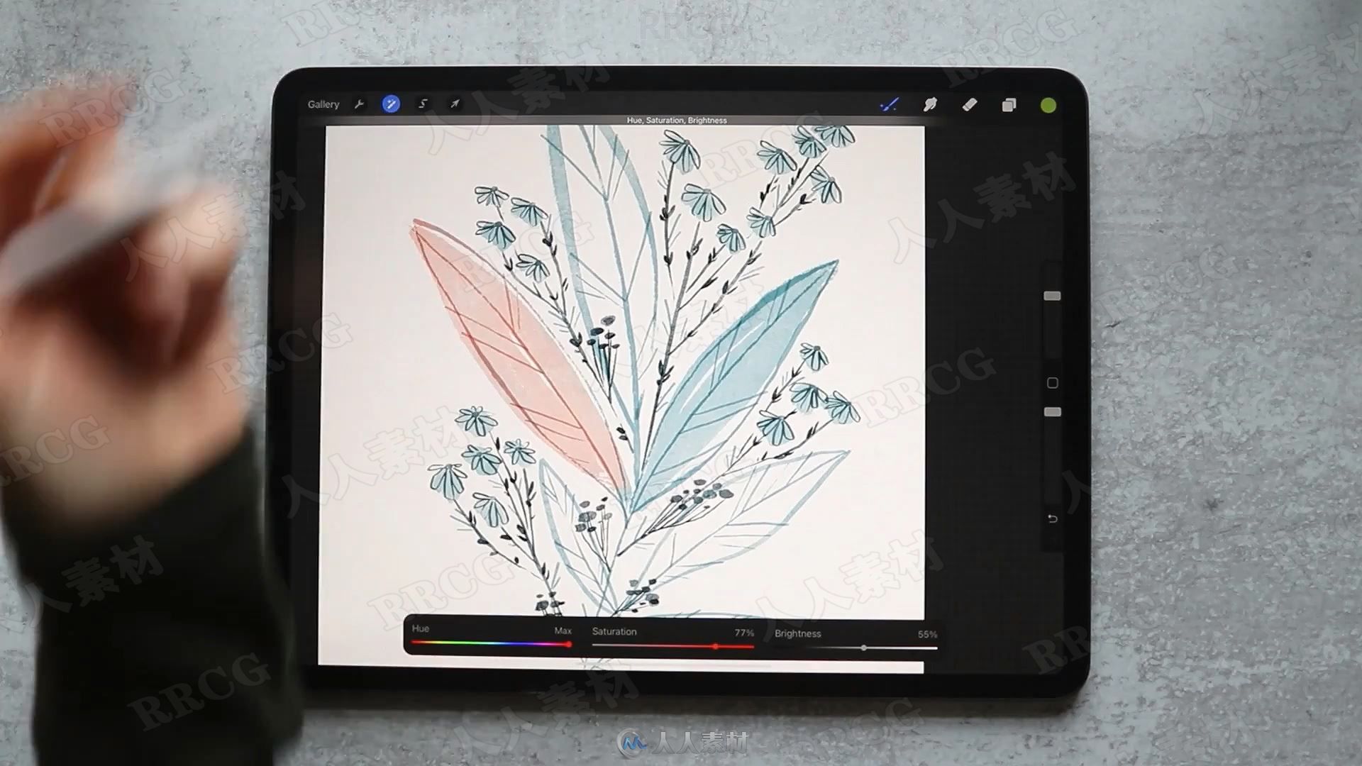 iPad pro中使用Procreate花卉插图数字绘画视频教程