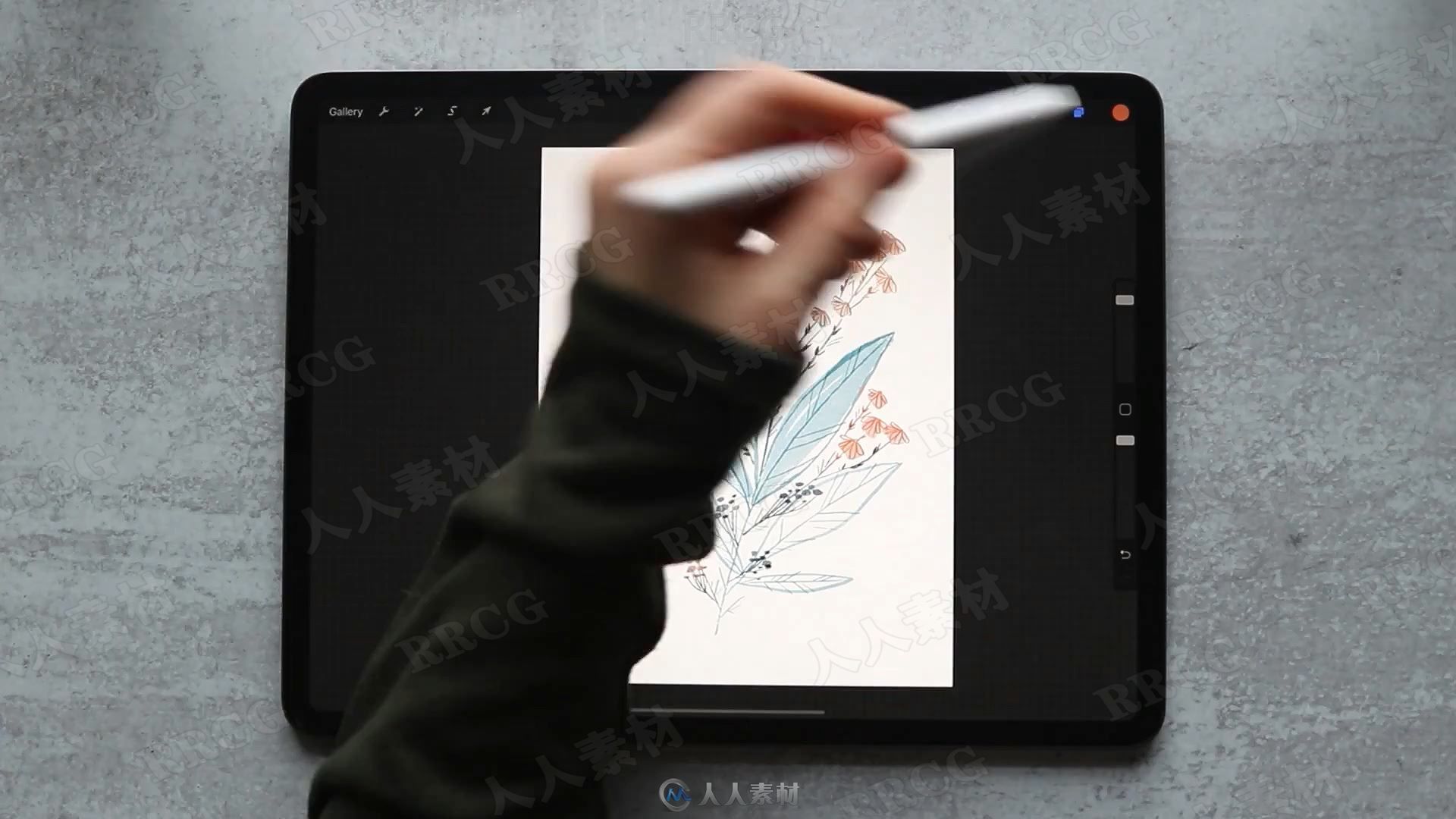 iPad pro中使用Procreate花卉插图数字绘画视频教程