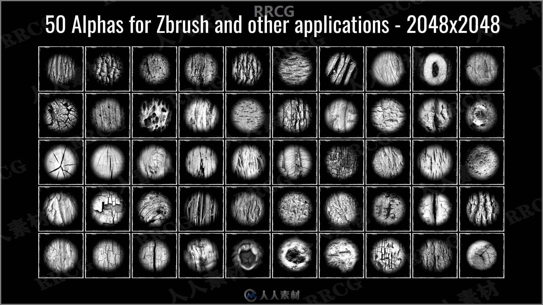 117组灌木植物雕刻Zbrush笔刷与50组Alphas贴图合集