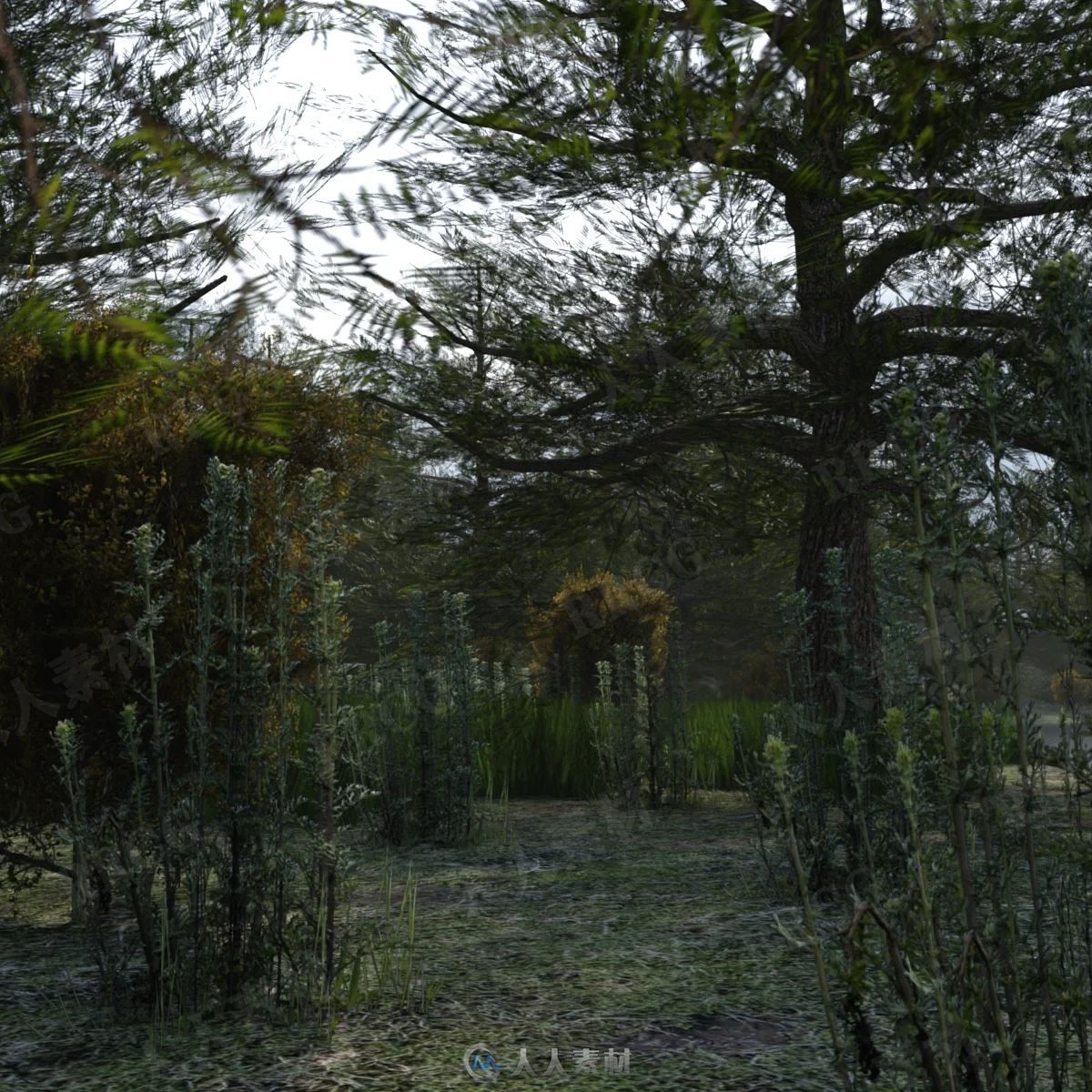 不同季节森林湖泊自然景观场景3D模型合集